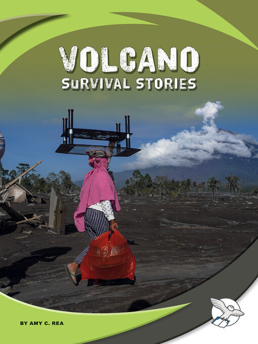 Cover image for Volcano Survival Stories